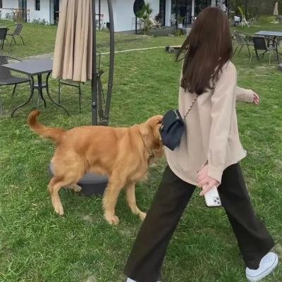 舌尖上的乡村